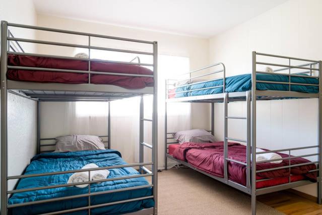 Bunk Bed in Mixed Dormitory Room interior